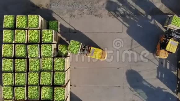 新鲜采摘的苹果在农场收获小型装载机叉车机器装载放置大型木箱装满垃圾箱视频的预览图