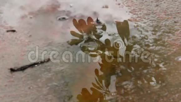 水滴落在水泥地板上视频的预览图