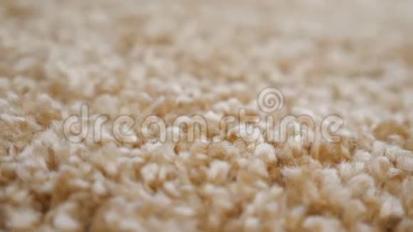 米色地毯面料图案视频的预览图
