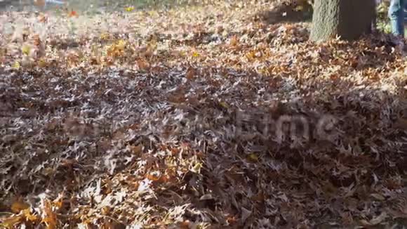 一个操作重型吹叶机的人树叶正在旋转起来在宜人的阳光下发光视频的预览图
