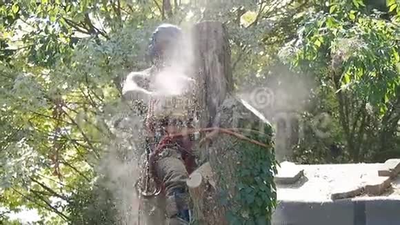 女植树者砍伐一棵树视频的预览图