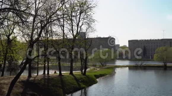 城市公园的景色和池塘视频的预览图