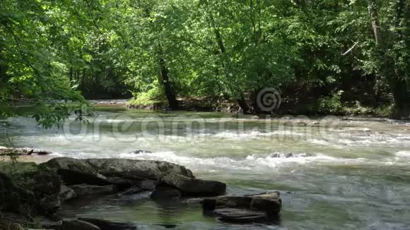 佐治亚州大溪河一个看上游快速移动的水在大溪河的低水平视频的预览图
