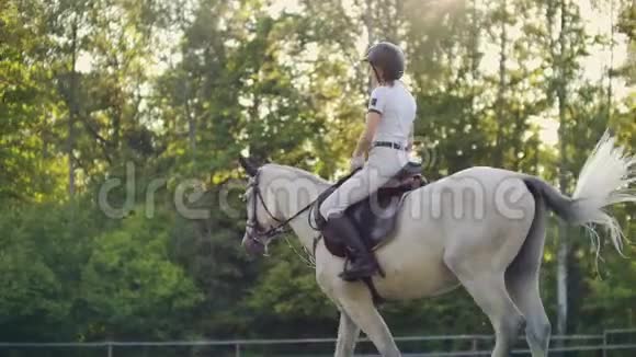 慢动作骑马从马女视频的预览图