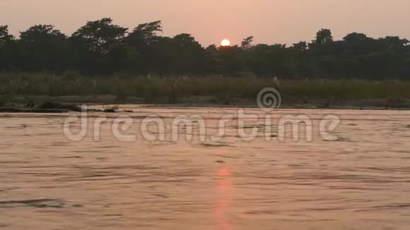 夏天在宁静的河流上日落阳光在平静的水面上反射着绿色的海岸尼泊尔奇旺国家野生动物园视频的预览图