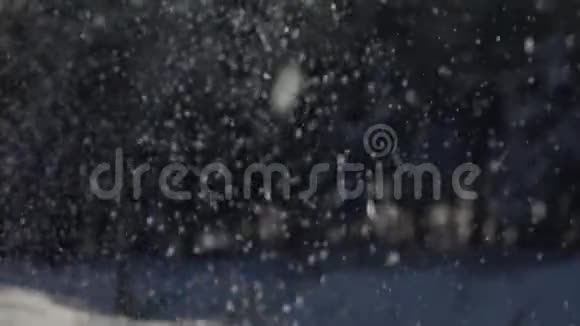 慢镜头雪花飘落在森林上视频的预览图