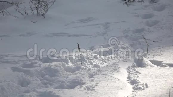 慢镜头滑雪板将雪喷到照相机里视频的预览图