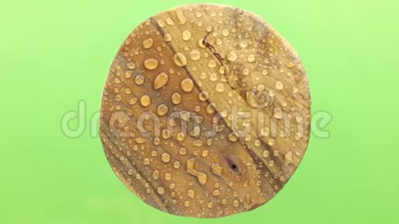 雨滴中圆形木板的旋转孤立视频的预览图