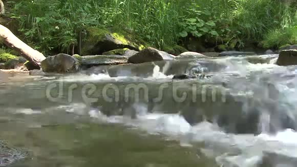 古灵精怪的河流视频的预览图