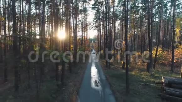 阳光下的森林里的旧车视频的预览图