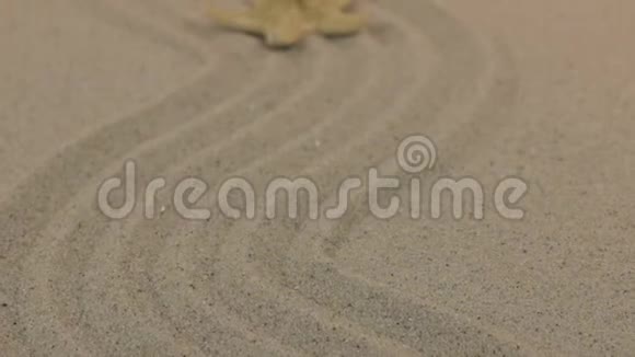 一只美丽的黄色海星躺在由沙子组成的锯齿形上的近似视频的预览图