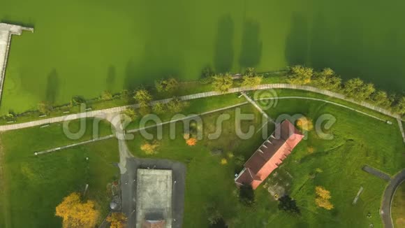 从Drone的鸟瞰绿色湖泊的堤岸视频的预览图