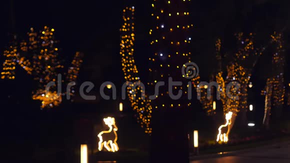 夜间树木上的圣诞灯装饰视频的预览图