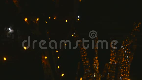 夜间树木上的圣诞灯装饰视频的预览图