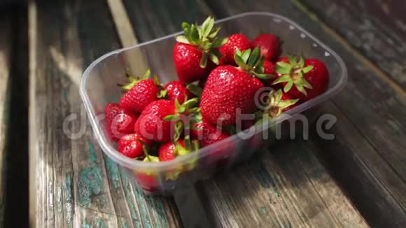 两个朋友从一个有机农场种植的盒子里拿着一个成熟多汁的草莓吃视频的预览图