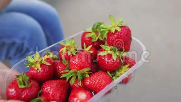 女孩从塑料容器中选择了一个大的多汁草莓视频的预览图