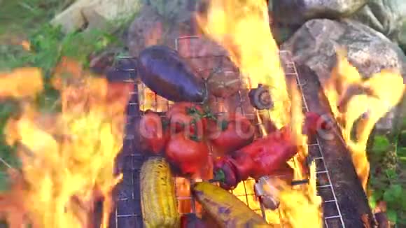 天然火烤蔬菜视频的预览图
