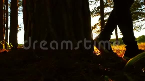 在树林里日落时一只雌性脚的轮廓摄像机从左到右移动视频的预览图
