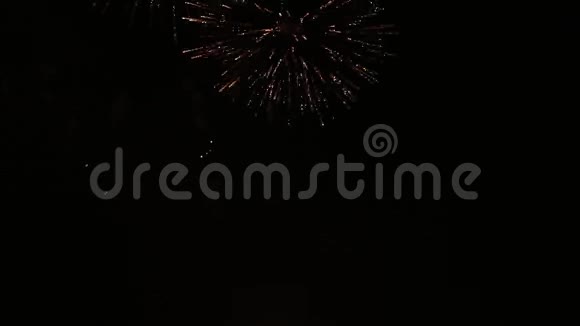 在黑暗的夜晚背景上闪耀着五颜六色的烟花美丽的烟花花在夜空上节日活动视频的预览图
