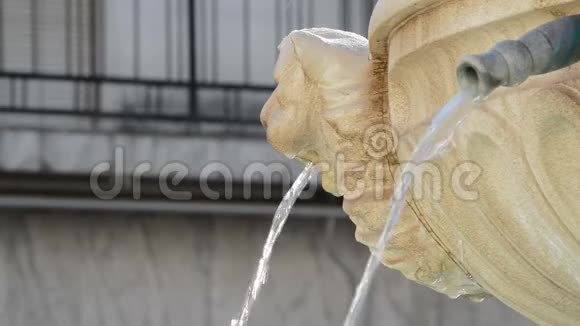 用雕刻的狮子脸喷水的公共喷泉视频的预览图