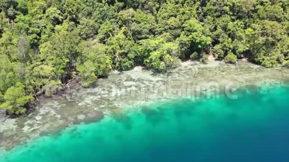 RajaAmpat热带海岸线空中飞行视频的预览图