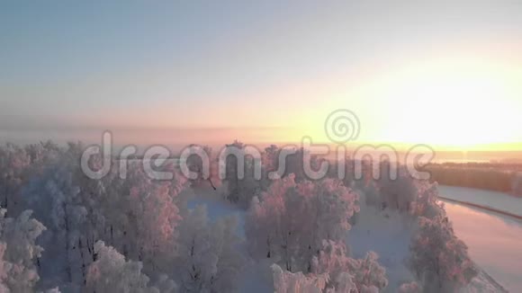日出时冬天霜林的景色视频的预览图