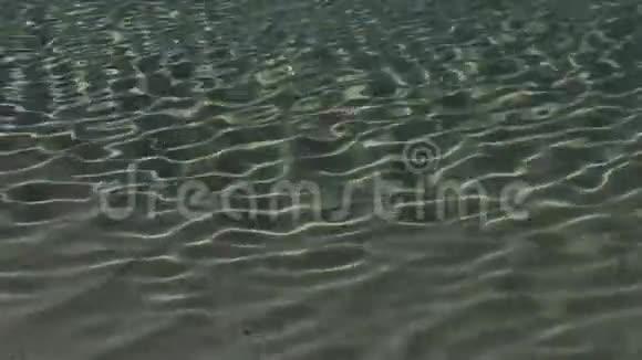 水波荡漾的背景视频的预览图