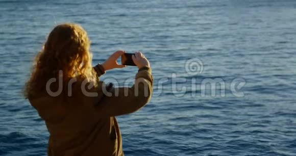 女士在码头4k处用手机点击照片视频的预览图