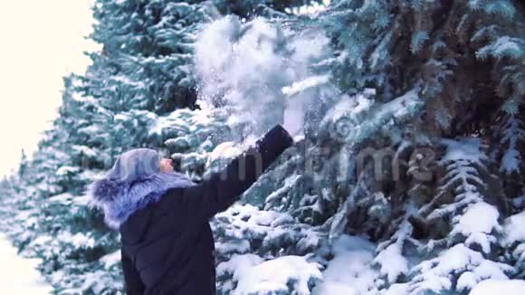 慢动作冬天公园里的一个女孩在树上摸雪雪从树枝上飘落下来视频的预览图