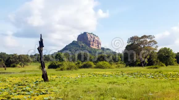 锡吉里亚狮子岩景观从丛林看斯里兰卡时间跨度视频的预览图