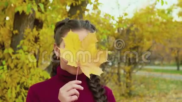 可爱的女孩拿着公园里的黄色枫叶视频的预览图