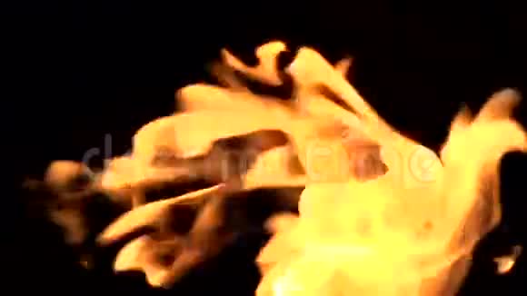 火流视频的预览图