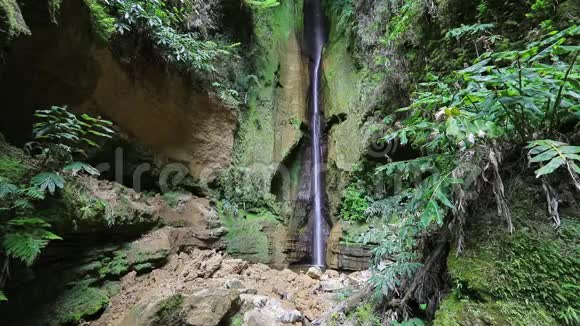 萨尔托道罗萨尔瀑布圣米格尔岛亚速尔群岛葡萄牙视频的预览图