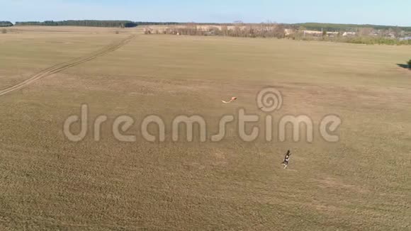 年轻人放风筝和他一起跑过田野空中全景视频的预览图