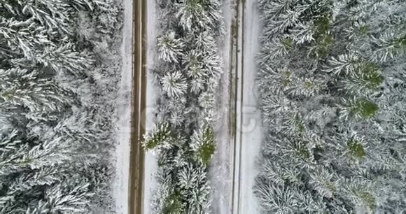 冬季4k松林的平行乡村道路视频的预览图
