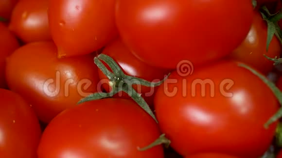 新鲜红番茄背景特写樱桃番茄蔬菜4K视频的预览图