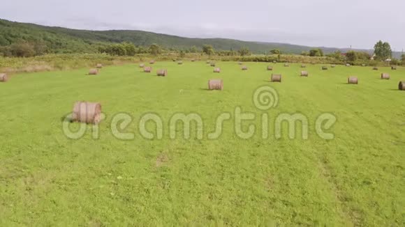一架无人机在夏天用绿草和干燥的扭曲干草飞过一片田野视频的预览图