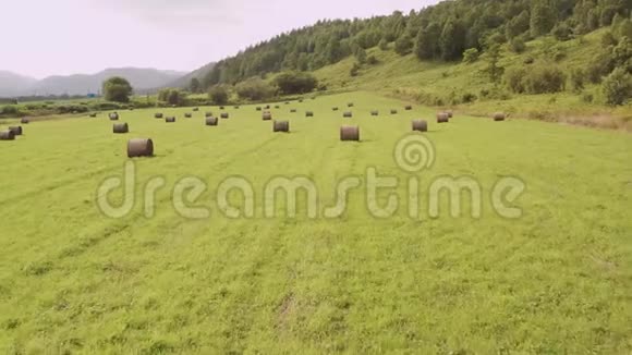 一架无人机在夏天用绿草和干燥的扭曲干草飞过一片田野视频的预览图