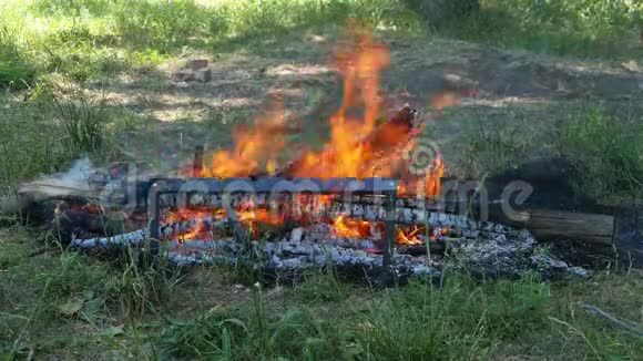 一大堆原木的火在绿草的背景下燃烧自然中的娱乐和旅游视频的预览图