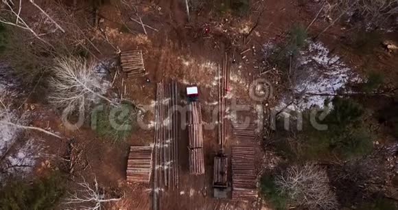 一辆装载新锯木的伐木卡车正沿着泰加森林的一条路行驶在砍伐的树木之间视频的预览图