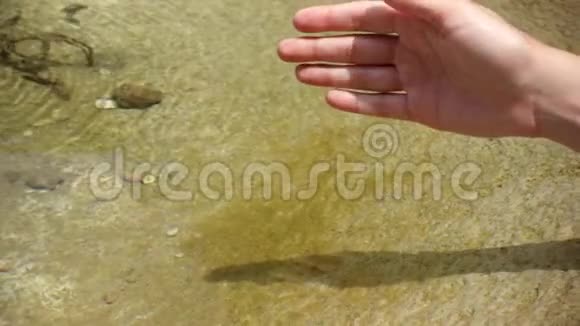 在阳光明媚的日子里女人慢慢地把手放在冷水里女性手触摸清澈的水面视频的预览图