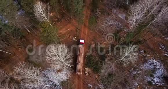 一辆装载新锯木的伐木卡车正沿着泰加森林的一条路行驶在砍伐的树木之间视频的预览图