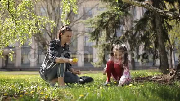 母亲和女儿在草地上收集蒲公英视频的预览图