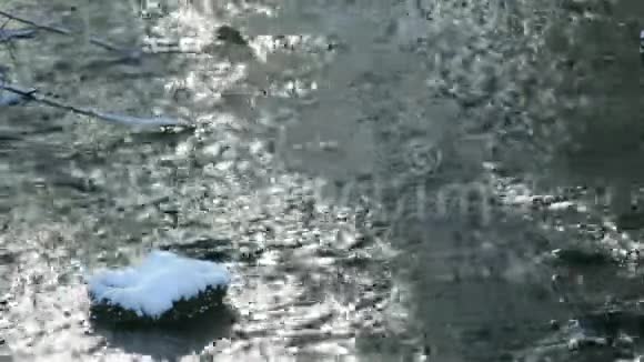 有雪和春花的小溪视频的预览图