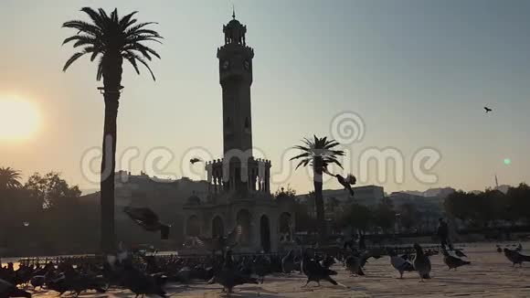 位于土耳其伊兹密尔的科纳克广场钟楼上有鸽子飞行的慢镜头视频的预览图