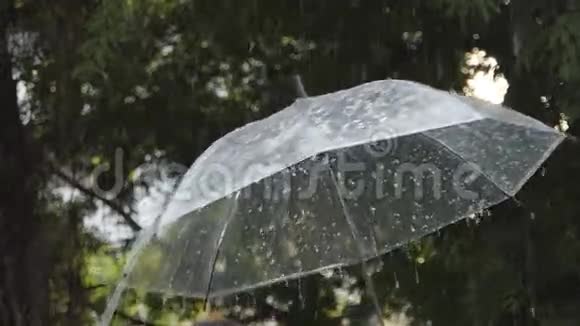 雨打伞视频的预览图