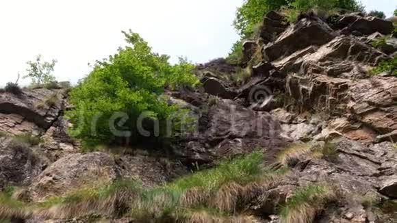 自然高山山中一道亮丽的山林景观陡峭的悬崖上生长着灌木丛树木夏季视频的预览图