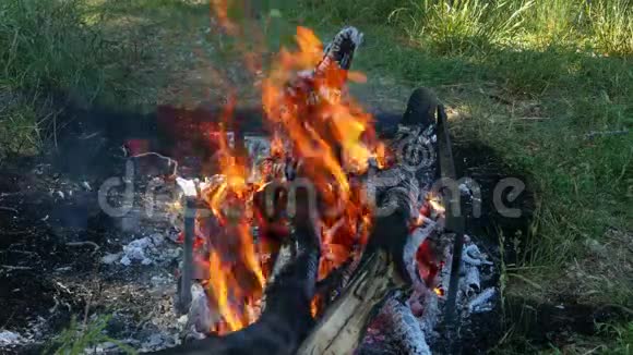 一堆圆木的火在青草的背景下燃烧自然中的娱乐和旅游巨大的火焰视频的预览图