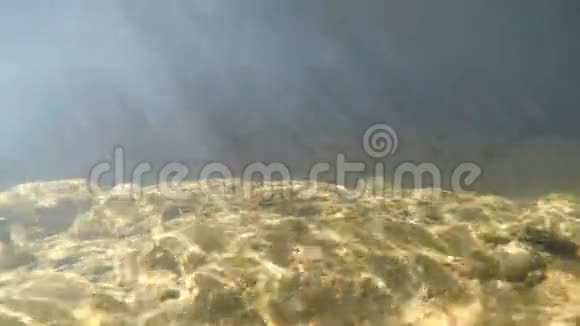 在水下拍摄一条带有阳光的小溪视频的预览图