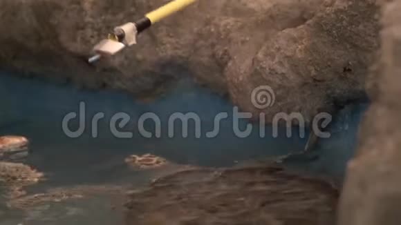 水族馆里的海龟水下射击视频的预览图
